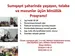 Sumqayıt şəhərində Könüllük Proqramı
