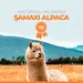 Əyləncə dolu Şamaxı Alpaca və Qədim İsmayıllı Lahıc turu