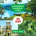 Lənkəran bambuk meşəsi - Xanbulan gölü turu