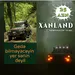 Adrenalin dolu Şəki - Xanlənd turu