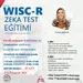 Online WISC-R ZEKA TEST EĞİTİMİ (Psixoloji təlimlər)